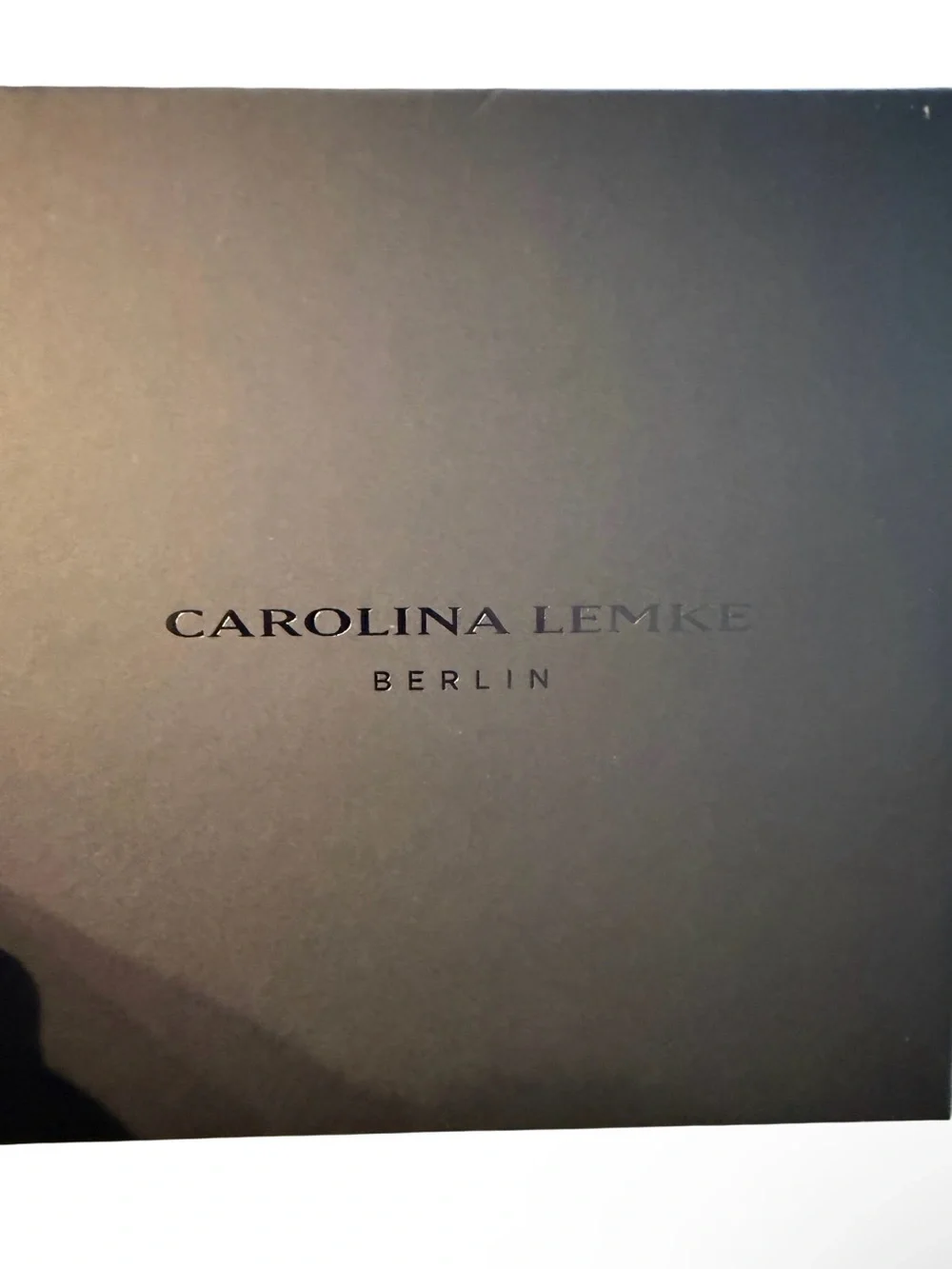NEW Carolina Lemke Berlin Azure Bloom Mulberry Silk Blue Printed Scarf